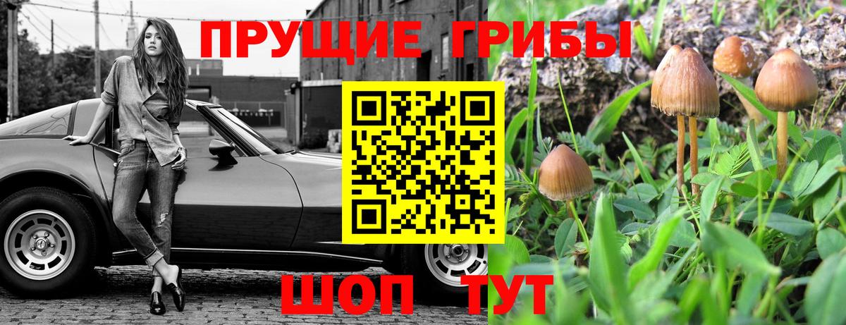 Галлюциногенные грибы MAGIC MUSHROOMS  Вход с VPN  что такое наркотик  Корсаков 